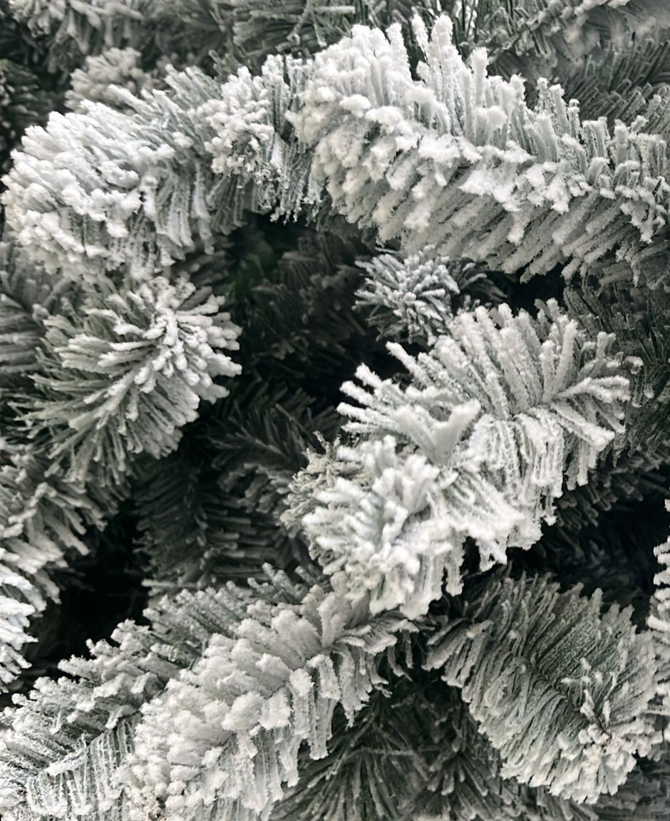 Flora